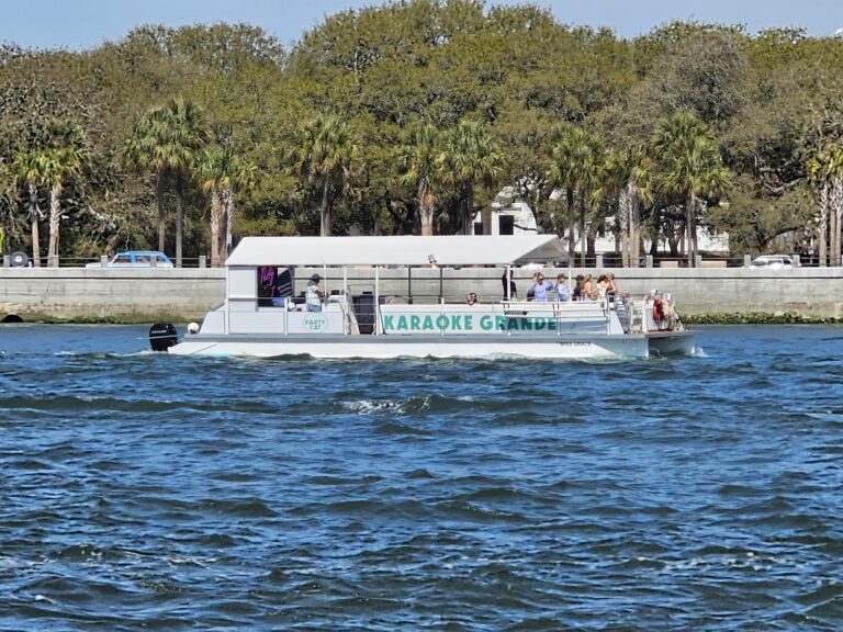 Charleston Party Cat pontoon boat