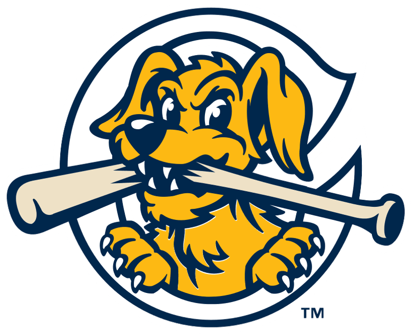 Charleston RiverDogs