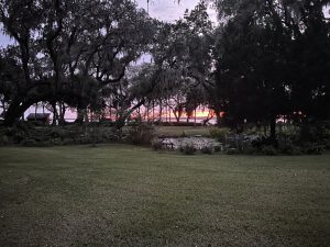 Buck Island lawn at dusk