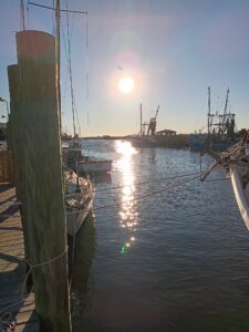 Abundant Seafood from outside