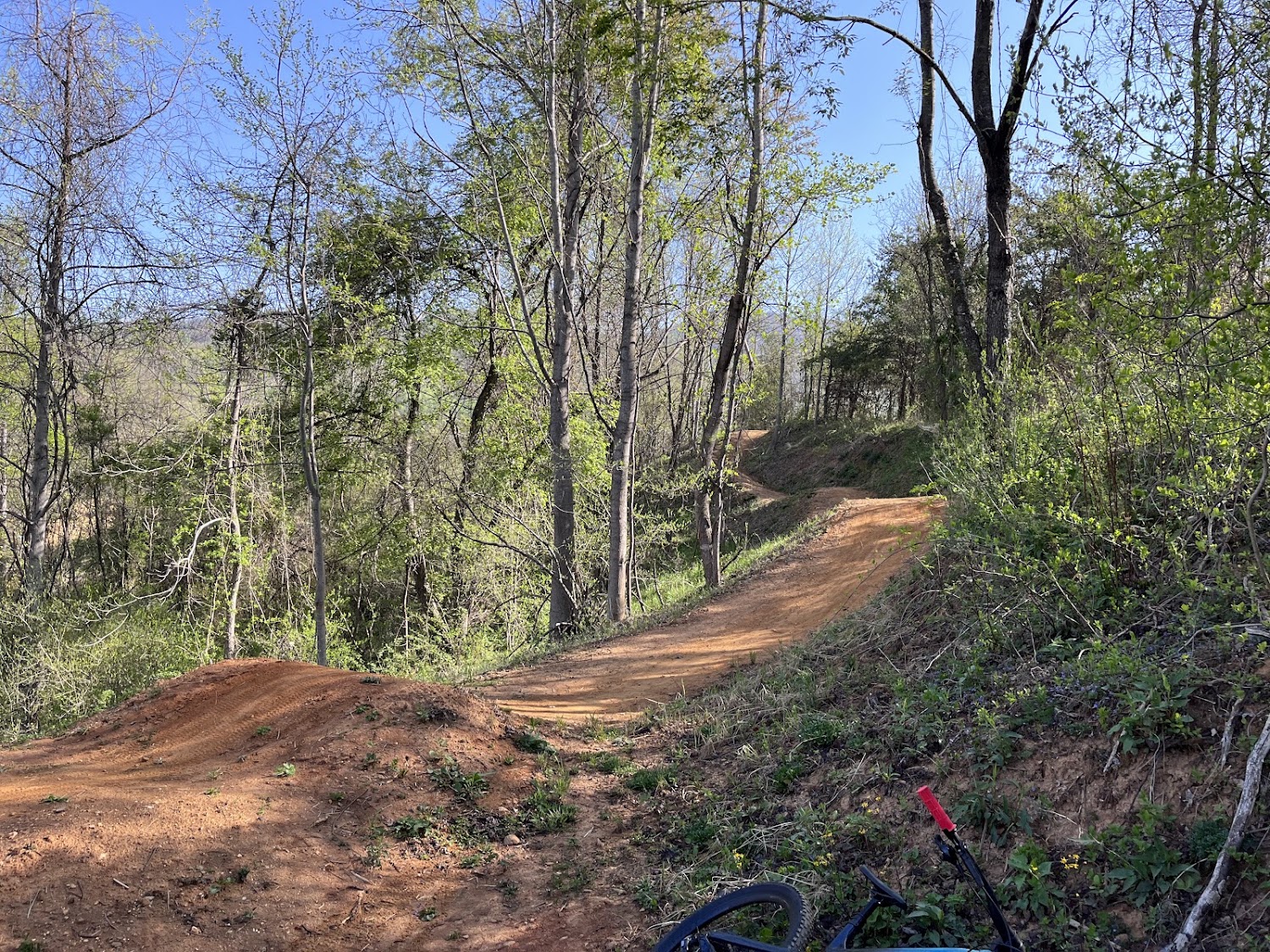 Red clay jump lines and bermed turns cut through bare trees at Berm Park.