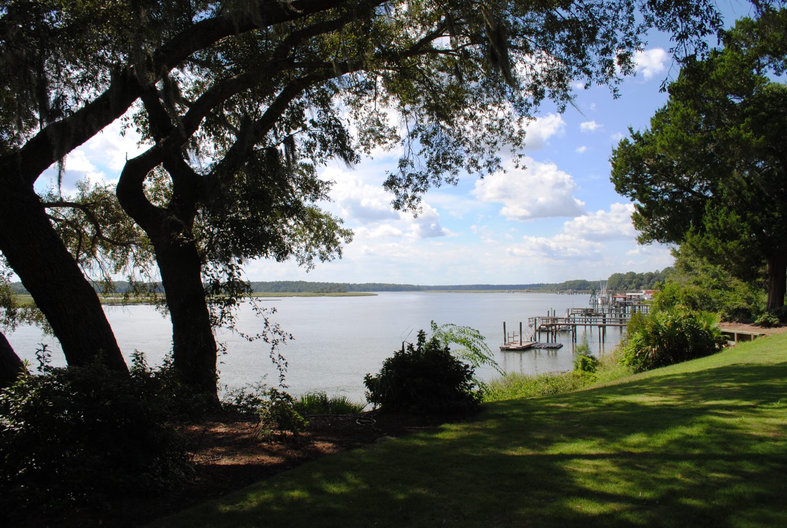 A live oak leaning over the May River at Bluffton