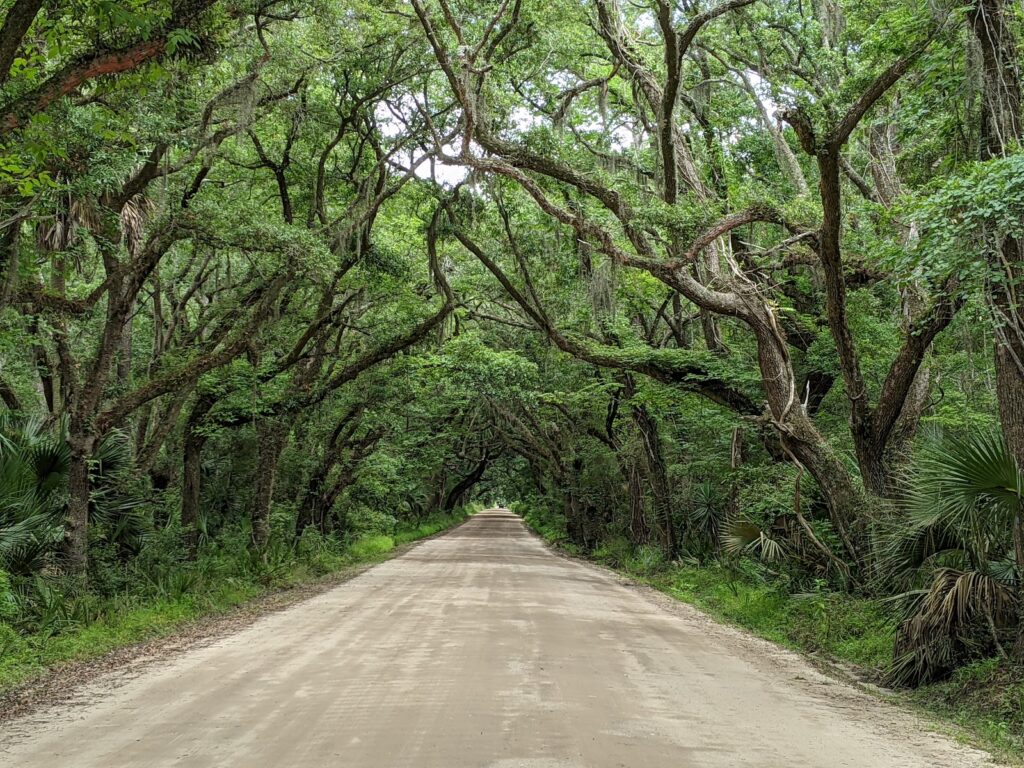 Botany Bay Plantation Heritage Preserve