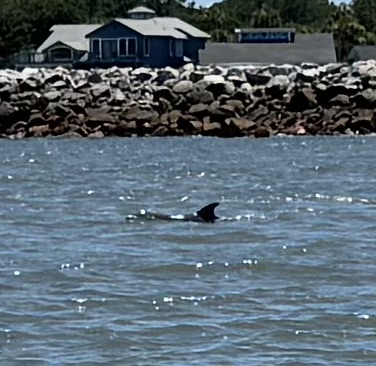 Coastal Expeditions at St. Helena Island