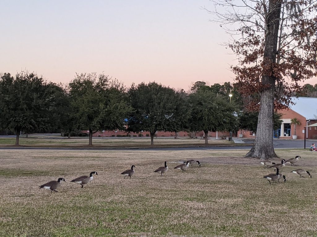 Fort Dorchester Elementary School