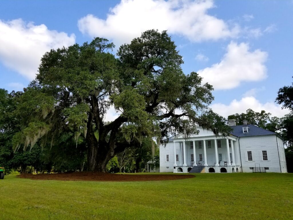 Hampton Plantation State Historic Site