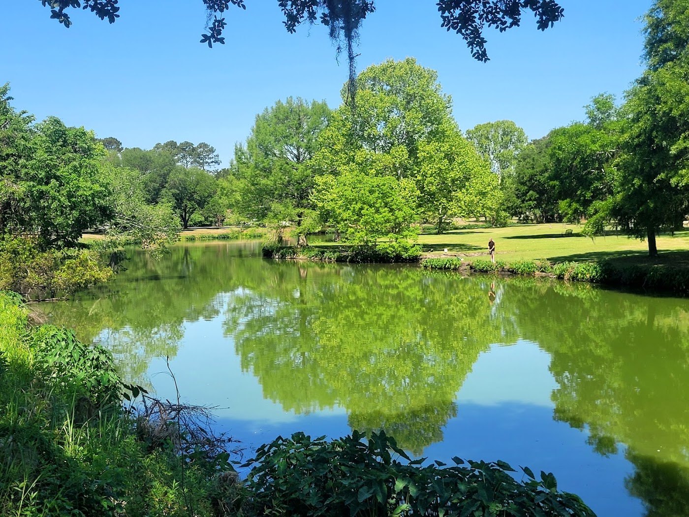 Lake Meyer Park - Pickleball courts courts