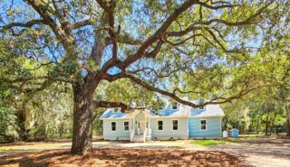 8780 Palmetto Road, Edisto Island SC 29438
