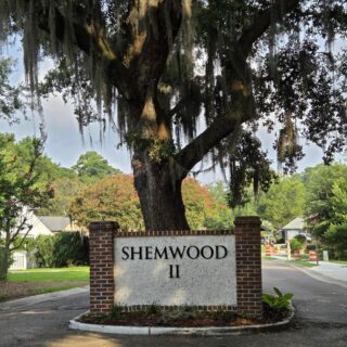 1005 Jack Snipe Lane, Mount Pleasant SC 29464