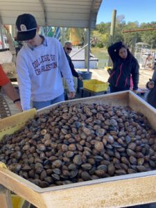 Livingston’s Bulls Bay Seafood photo 2 of 6