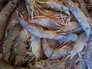 A dish at Livingston's Bulls Bay Seafood