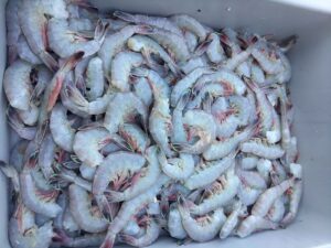A dish at Livingston's Bulls Bay Seafood