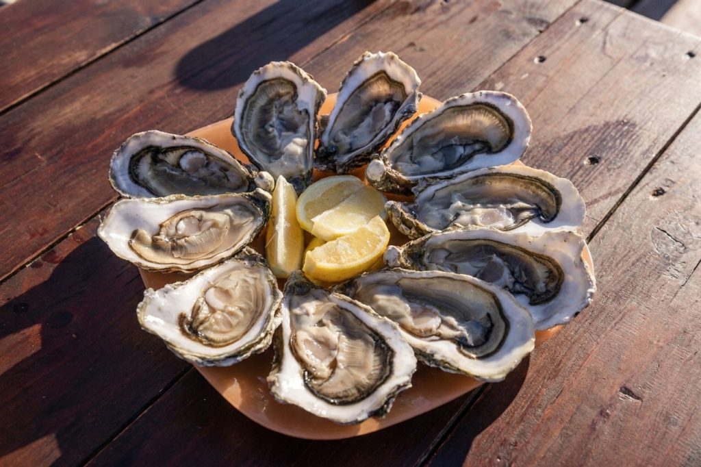 A dozen raw oysters on a wooden board