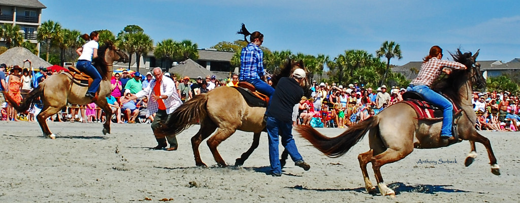 The 2012 Marsh Tacky beach race at Coligny Beach