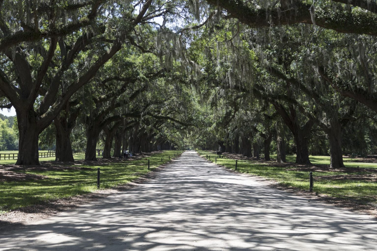 The avenue of oaks at Boone Hall, Mount Pleasant