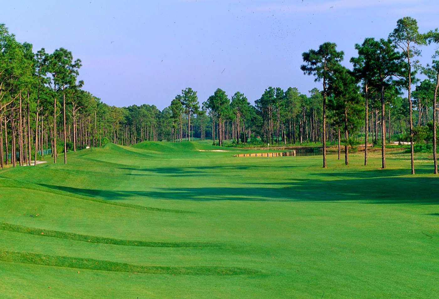 Palmetto Hall Golf and Country Club