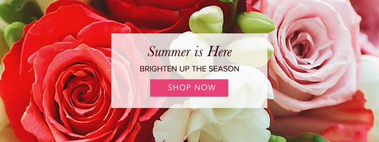 Mums The Word Flowers and Gifts