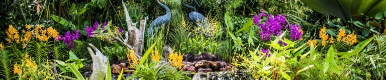 Tiger Lily Florist