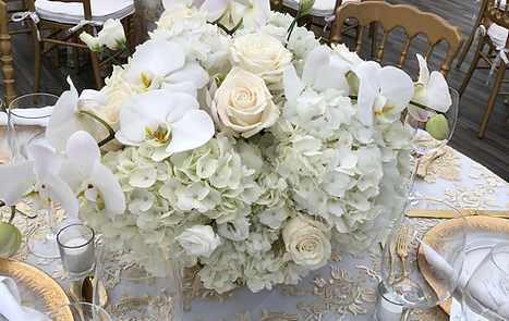 Elegant Bloom Designs