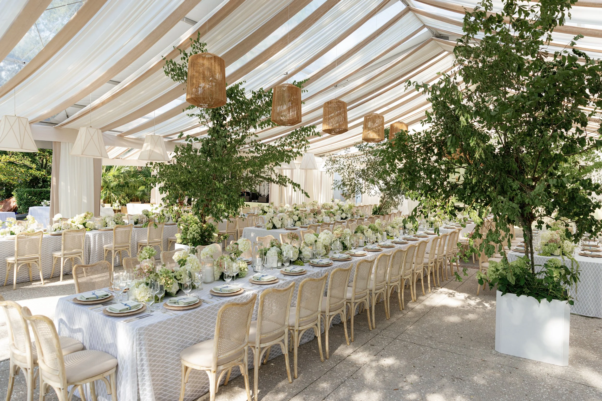 Long banquet tables laid in white beneath a canopy of live oaks