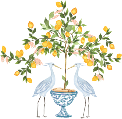 Meredith Tanton Events