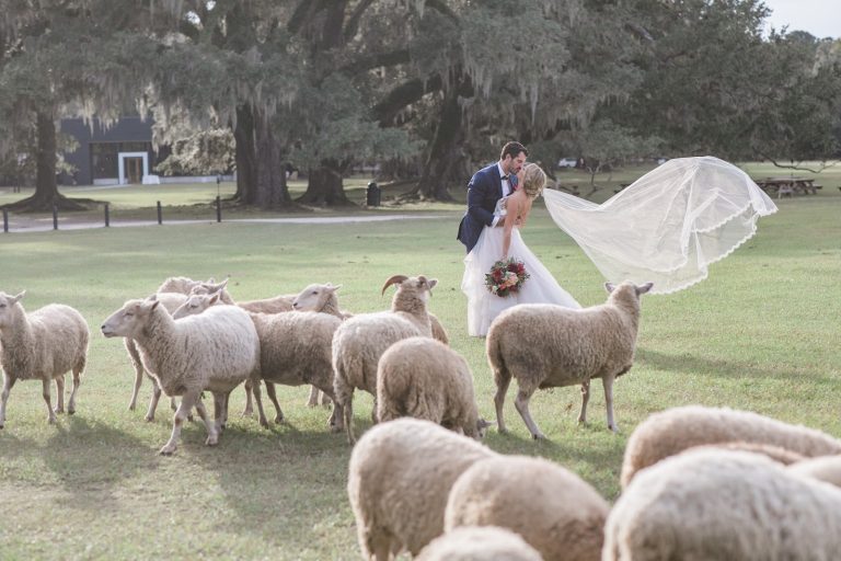 Taylor Jordan Photography