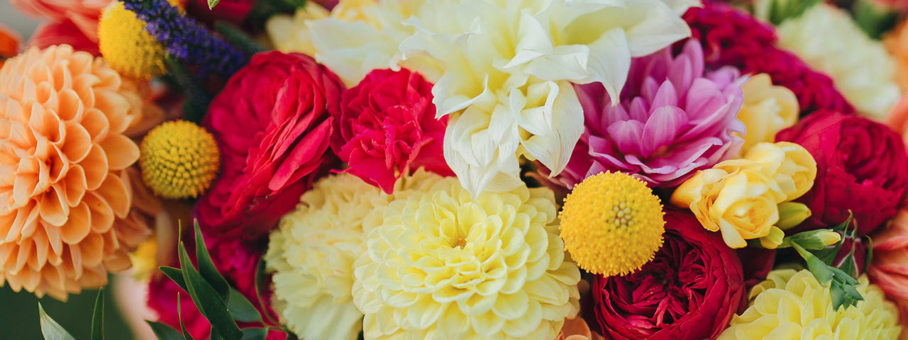 The Flower Cottage — work sample 1