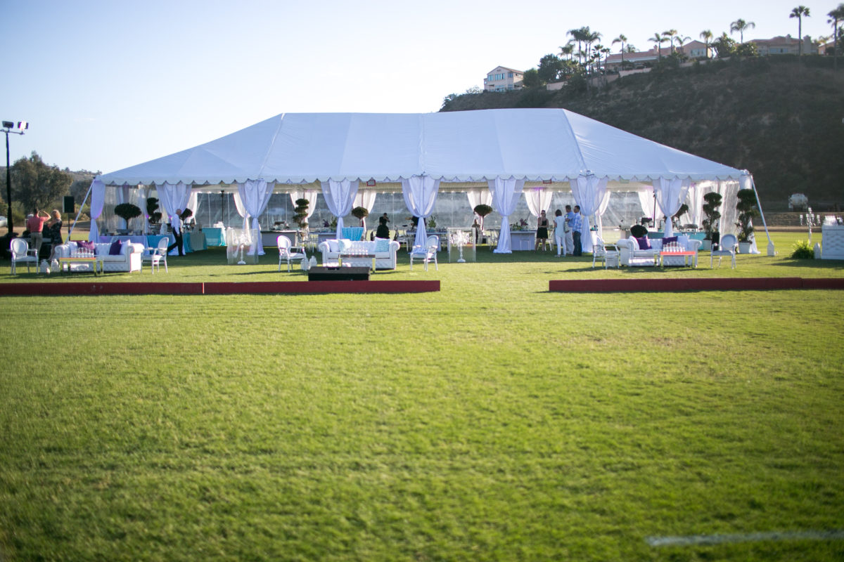 CAPITAL PARTY RENTAL — work sample 1