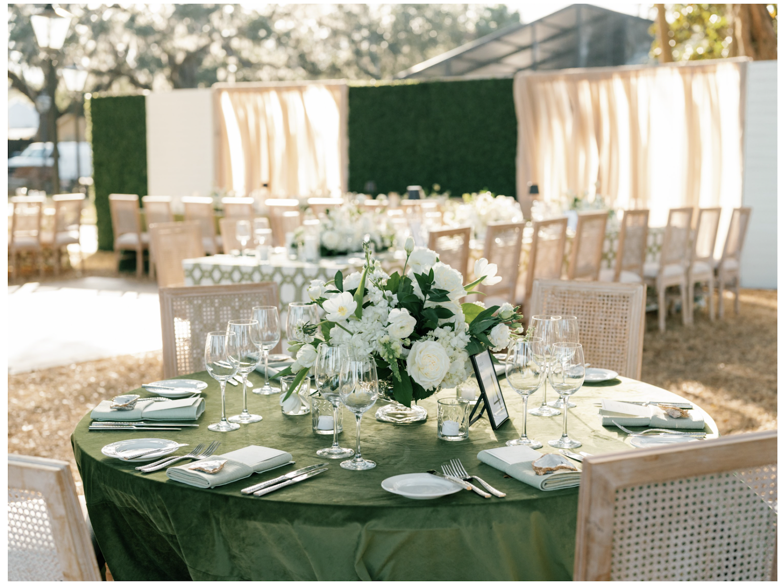 Tara Skinner Events — work sample 1