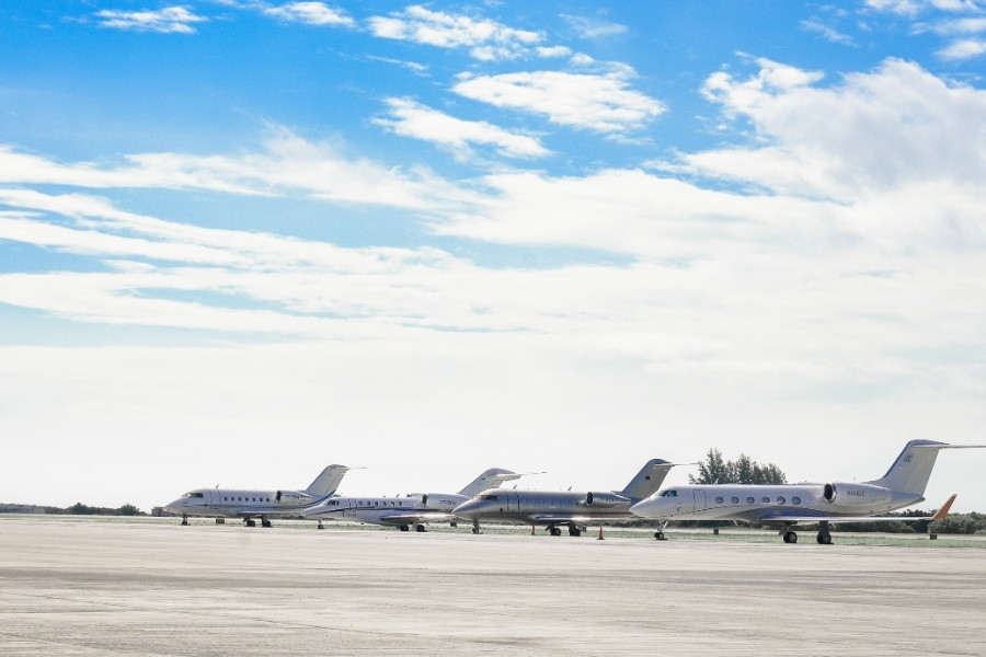 Platinum Executive Coaches — work sample 1