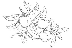 Sweet Peach Planning — work sample 1