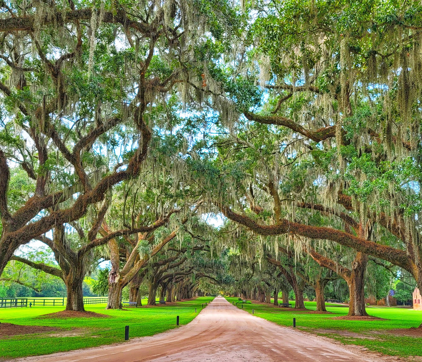 Boone Hall Plantation & Gardens — photograph 1
