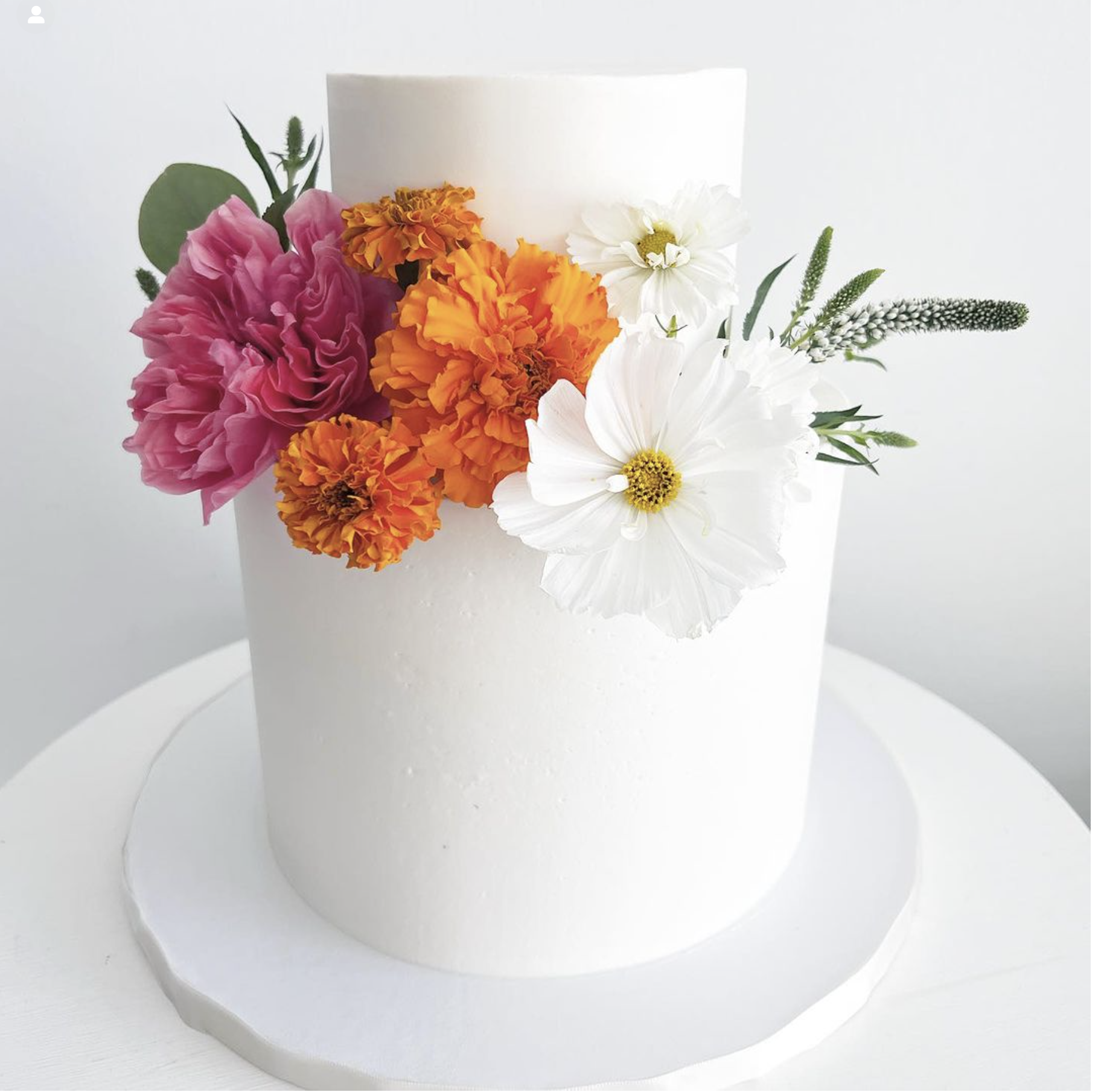 Wicked Cakes of Savannah, GA — work sample 2