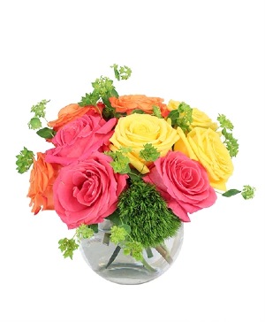 Coastal Daisy Florist — work sample 2