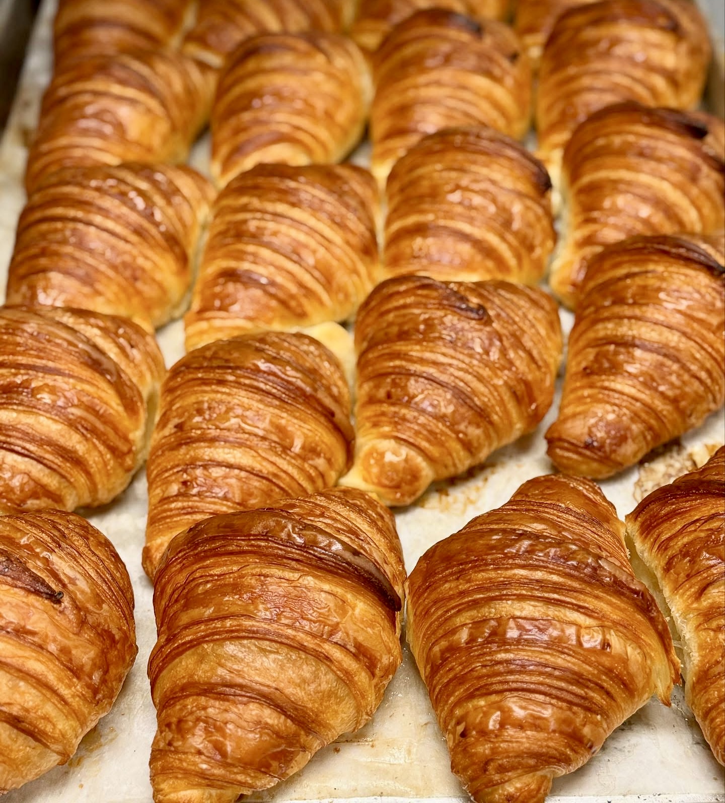 Hilton Head Social Bakery — work sample 2