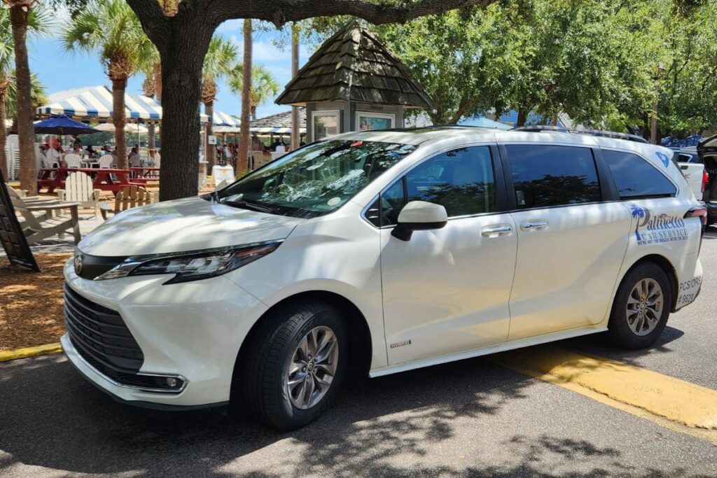 Palmetto Car Service — work sample 2