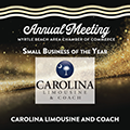 Carolina Limousine & Coach – Charleston SC — work sample 2