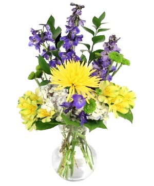 Coastal Daisy Florist — work sample 3