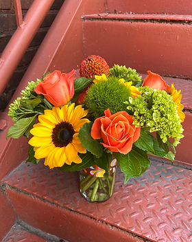 Garden On the Square — work sample 3