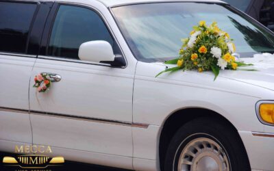 Mecca Limo and chauffeur service — work sample 3