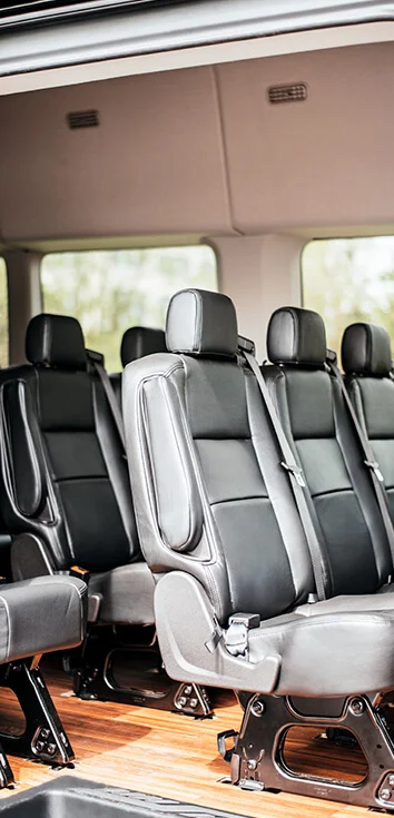 Coastal Limousine Of Charleston — work sample 3