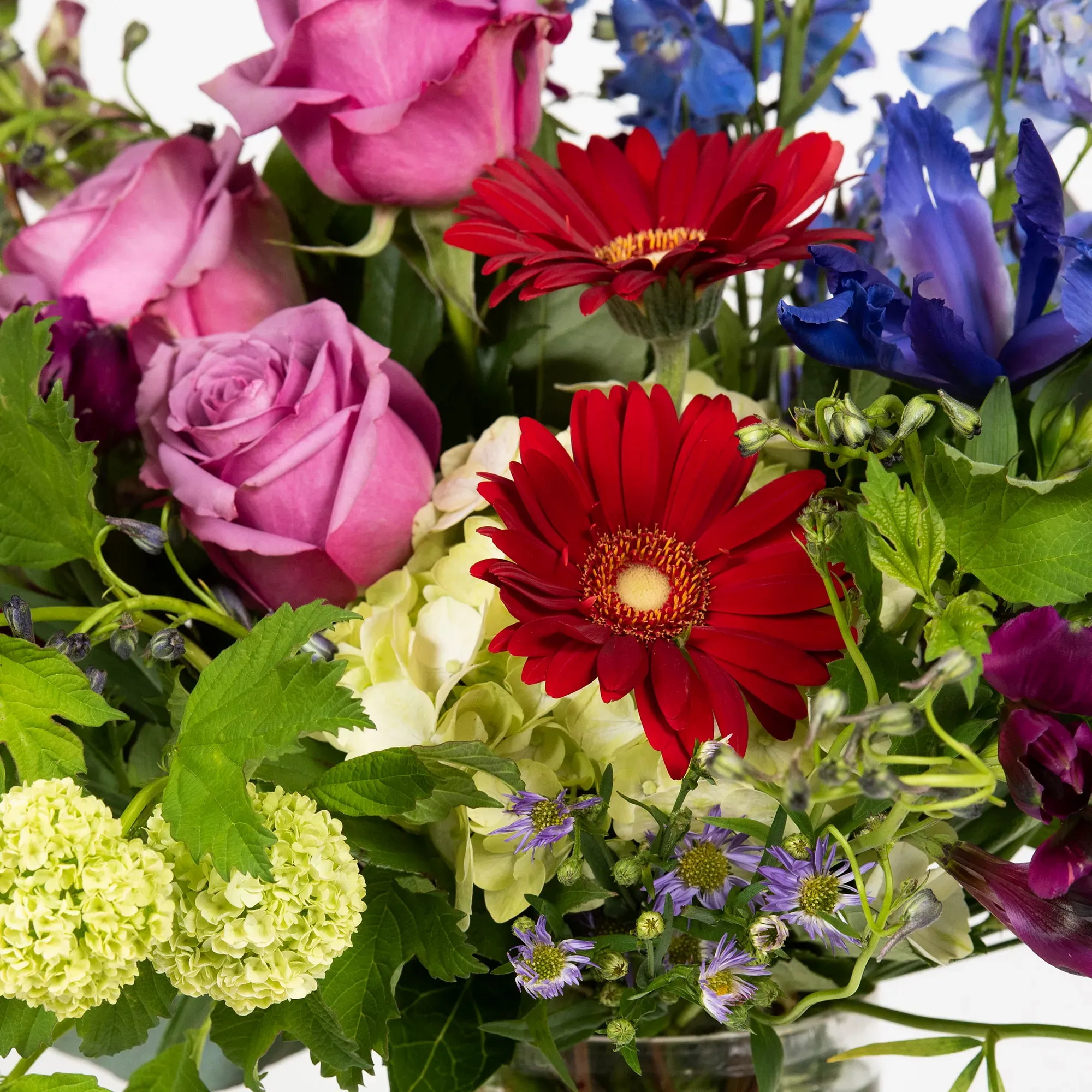 Belva’s Flower Shop — work sample 4