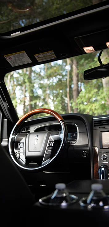 Coastal Limousine Of Charleston — work sample 4