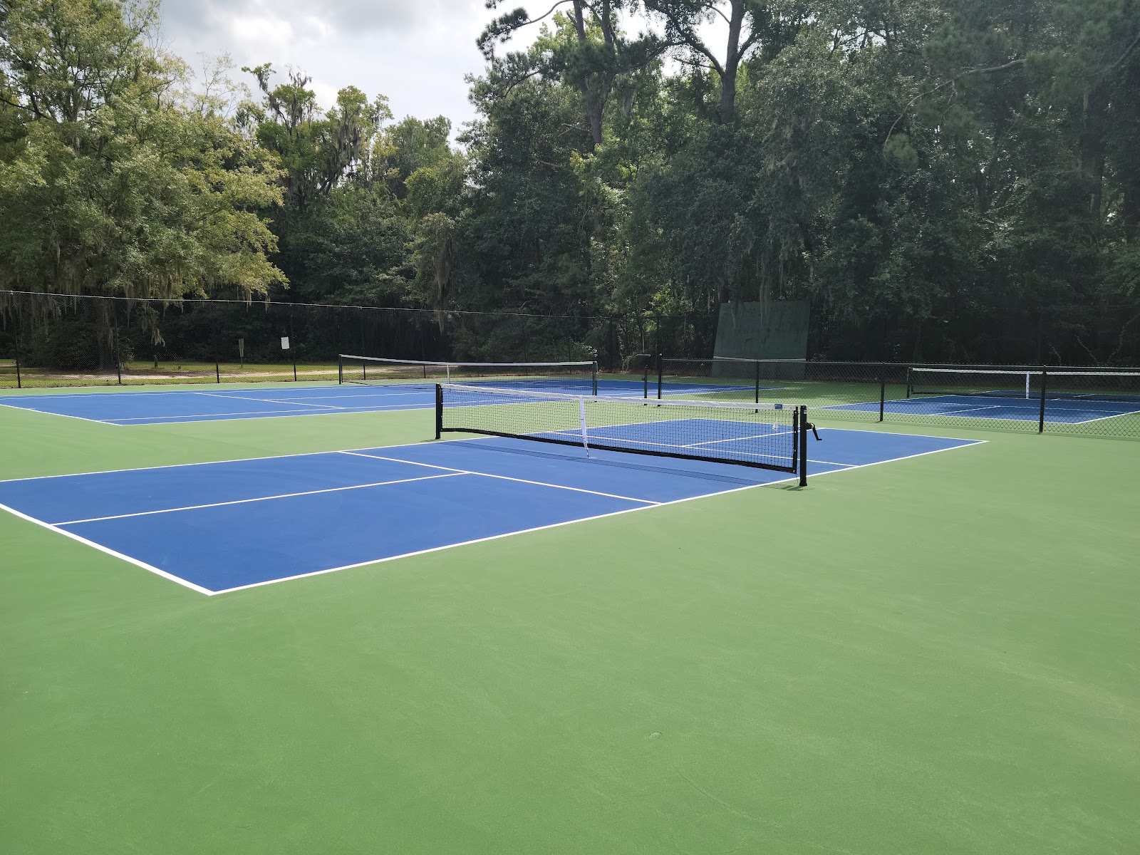 the pickleball court under the oaks, nets up and lines fresh