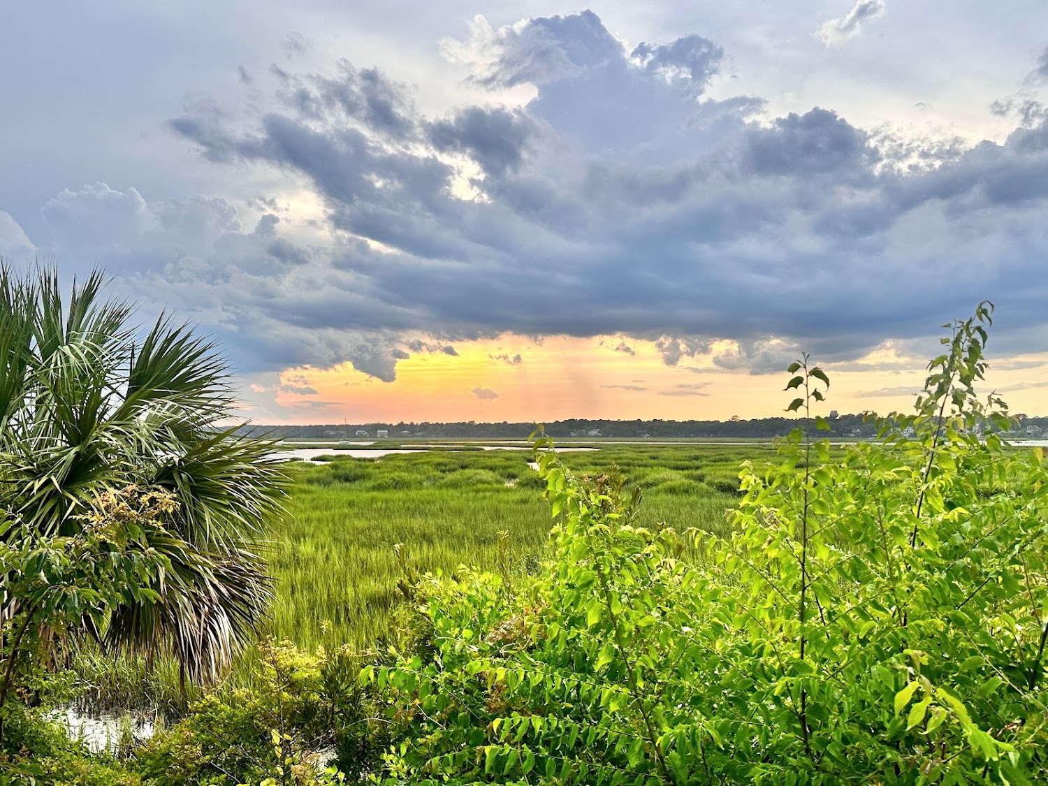 Sunset over the marsh at Shelter Cove on Hilton Head, palmetto fronds in the foreground.
