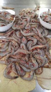 A dish at Tarvin Seafood / Miss Paula Shrimp/Abundant Seafood