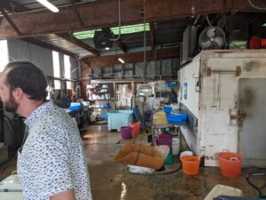 Inside Tarvin Seafood / Miss Paula Shrimp/Abundant Seafood