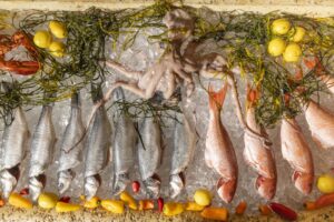 A dish at Taverna Philosophia: Aegean Brasserie