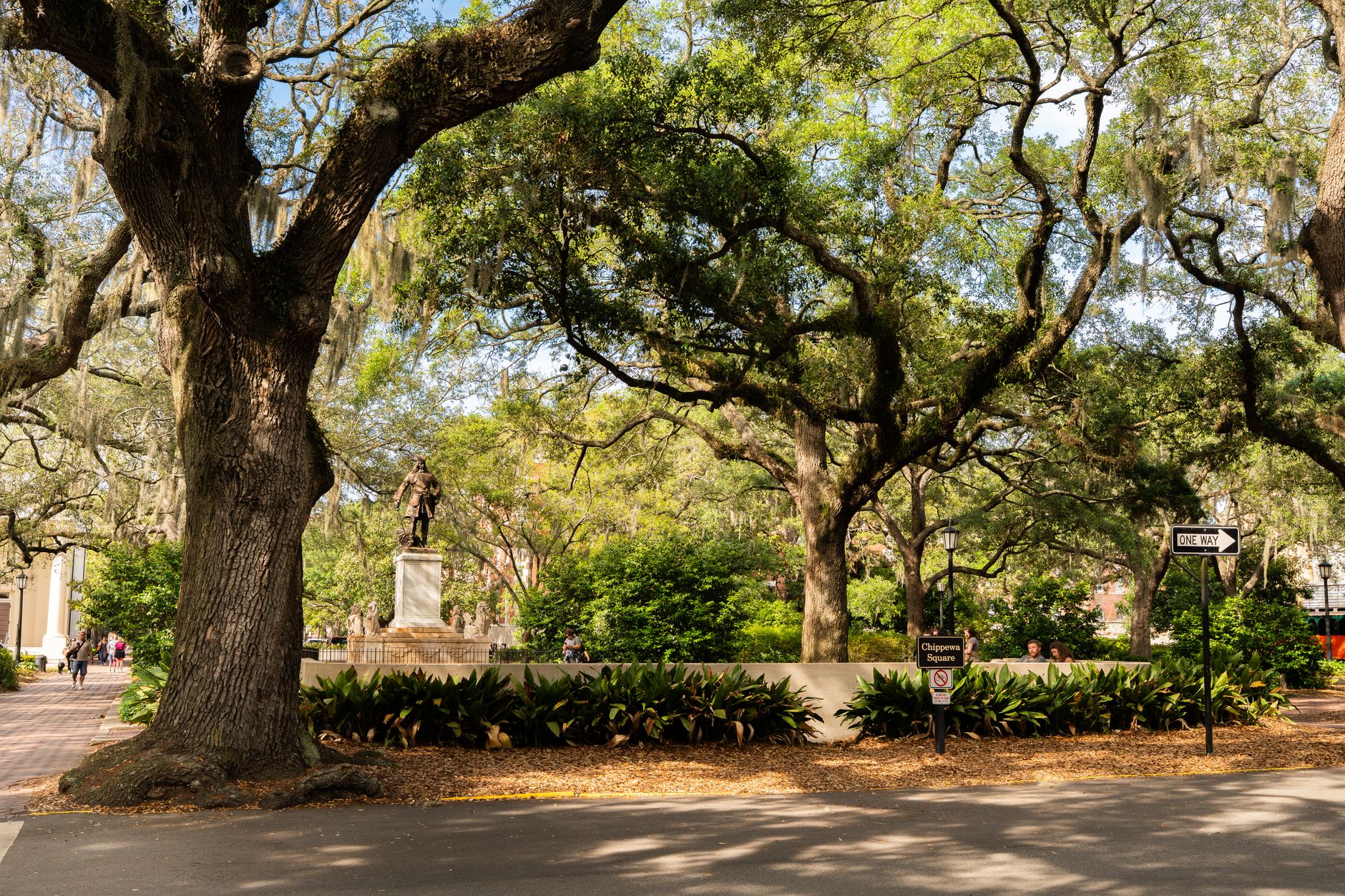 Savannah