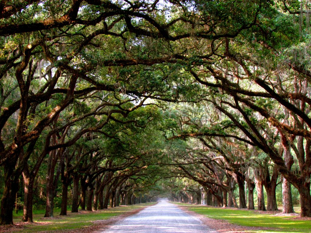 Wormsloe Historic Site